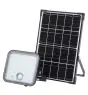 Ledvance Proiettore LED Endura Solar Nero 30W 4500lm - 840 Bianco Freddo| IP65 - Sensore Di Movimento